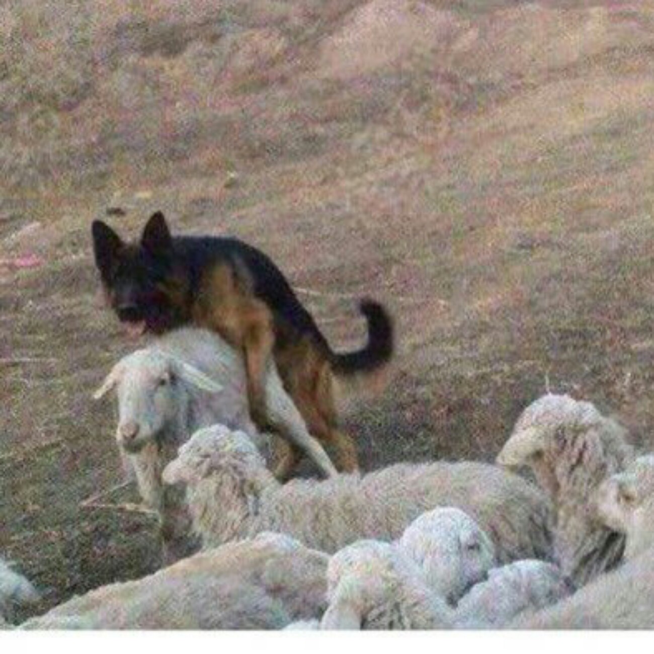 女孩子结婚要男方买房过分么?男方本人一直不