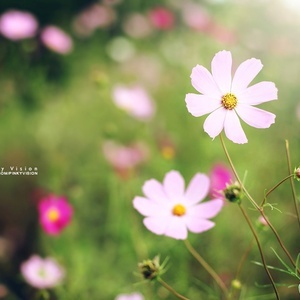 *银行<em>马甲</em>承认群殴70岁老人但不认错,开始将矛