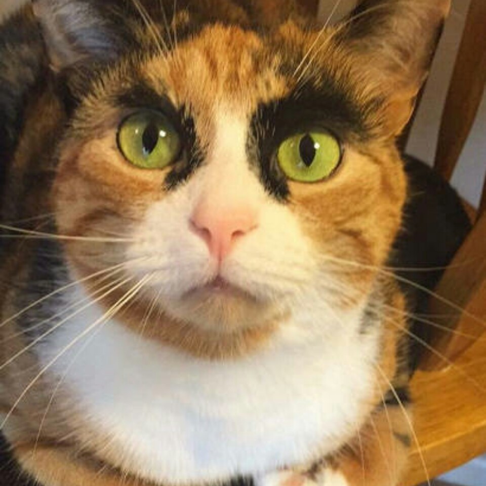 服务员背后的心酸有谁懂?接受客人骂是常事,还