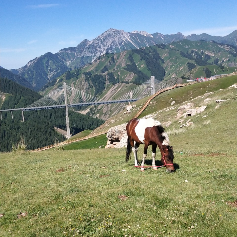 蓝天新苑五星物业服务态度恶劣怎么办?任由他