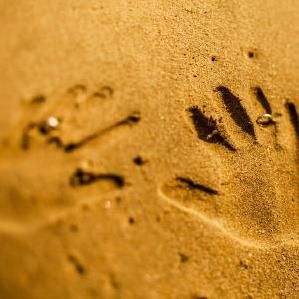 把悲伤留给自己,能不能让我陪着你走,既然你说