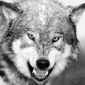 跟团去云南丽江买的翡翠手镯价格虚高只值几百