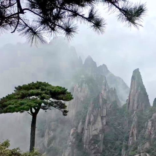 钟楼玉龙路边小区噪音污染严重!请问有没有相