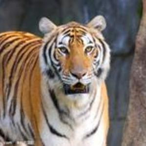 <em>常州大学城</em>好身形PK中国好声音李代沫、张玮