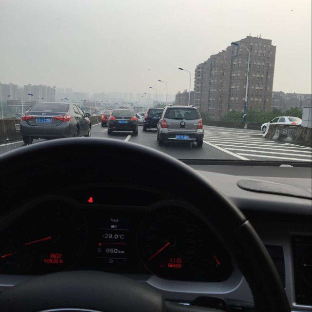 形容猴子是猴急猴急的,我信了!发情说来就来,交