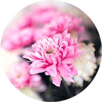 奉劝没房没车的男生先别着急结婚,别到男方拿