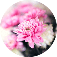 幼儿园老师兼职做微商,有时发些化妆品之类的