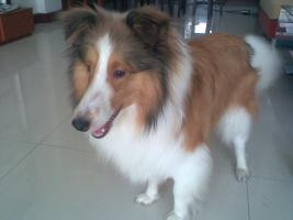 <em>头发直不直</em>,卷<em>不</em>卷,<em>头发软化</em>一次多少钱~|美颜