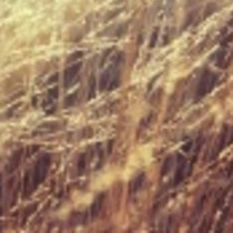 移动4G流量太多了,用不完,不是我包的,而且赠