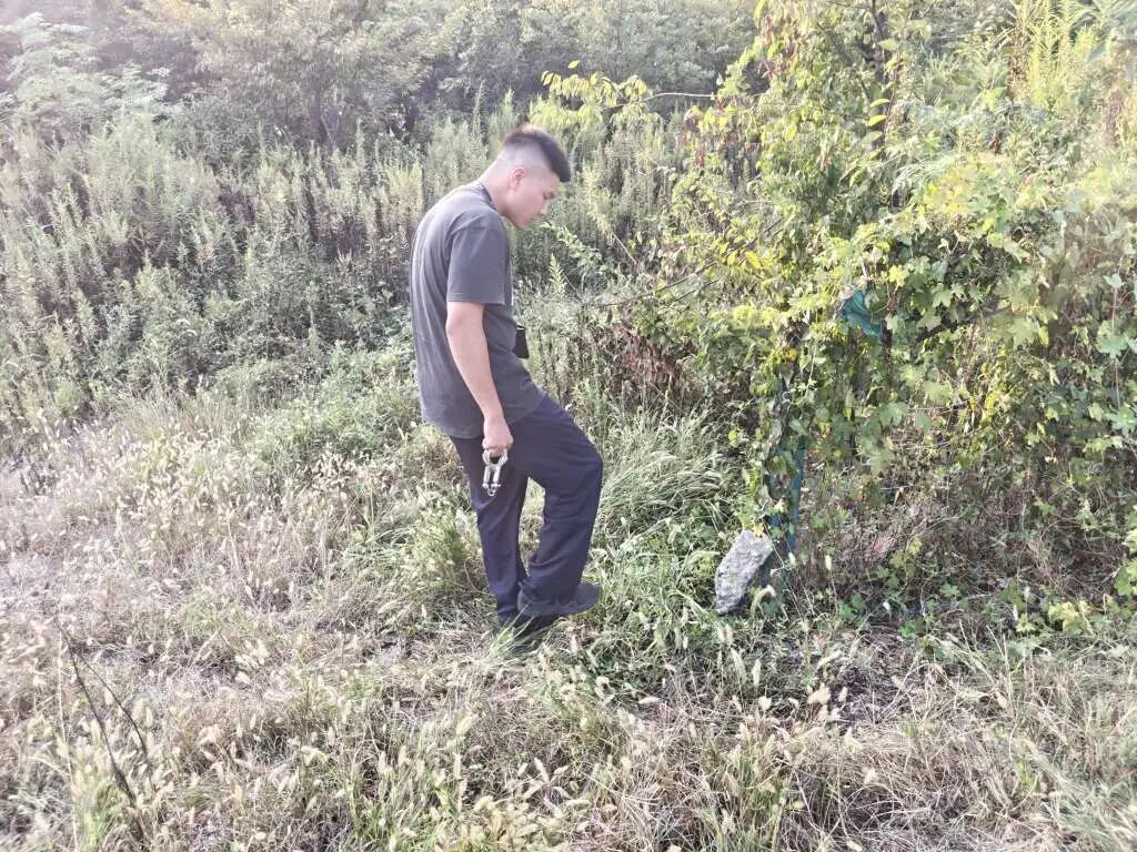ͼƬ