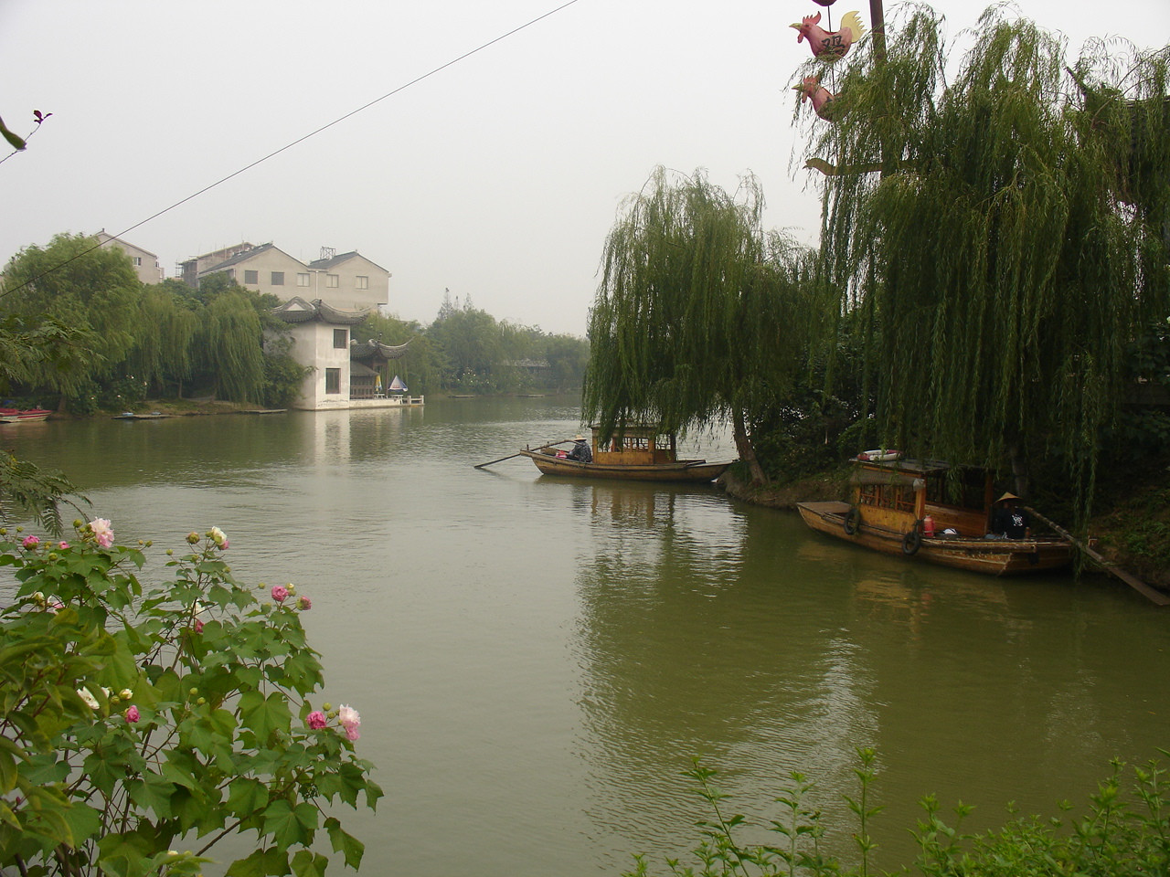 DSC00216.JPG