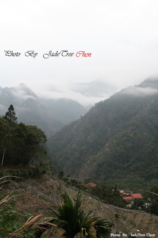 【顶级 硬甜柿】Sweeten your Life。不一样的