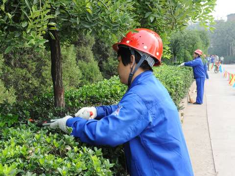 綠化工:要求身體健康,能吃苦耐勞,有從事綠化養護工作經驗,年齡4種 