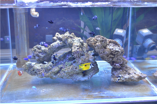 03-56-487944136670.JPG