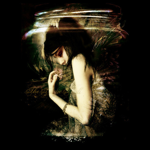 多年以后歌曲女声沙哑版简短版 1819_47917_8d5554e7a6b09cd.jpg