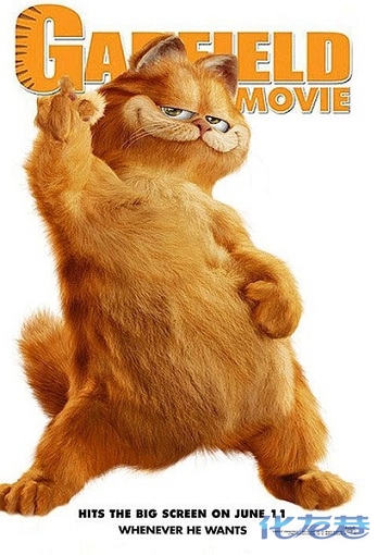 【加菲猫】 登录/注册后可看大图 电影简介: 加菲猫是世界上最幸福