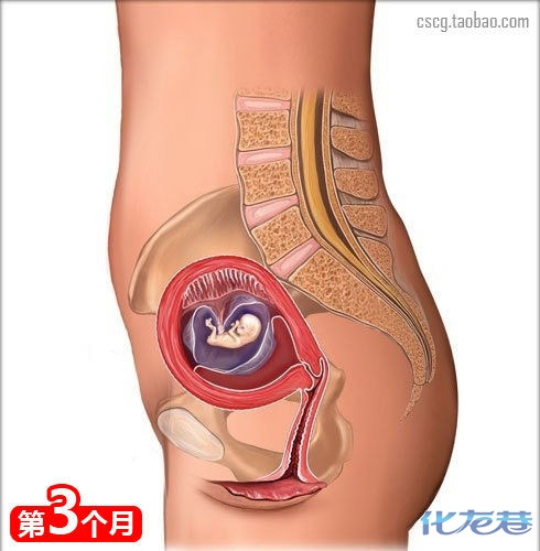 如何当个好妈妈?怀孕的常识你们都知道吗?