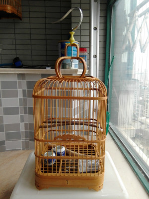 9成新芙蓉鸟笼,跟新的一样~~~价格70元,谢绝还价,勤业自提!