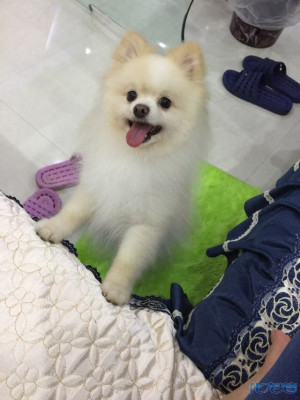 我家俊杰找老婆啊!