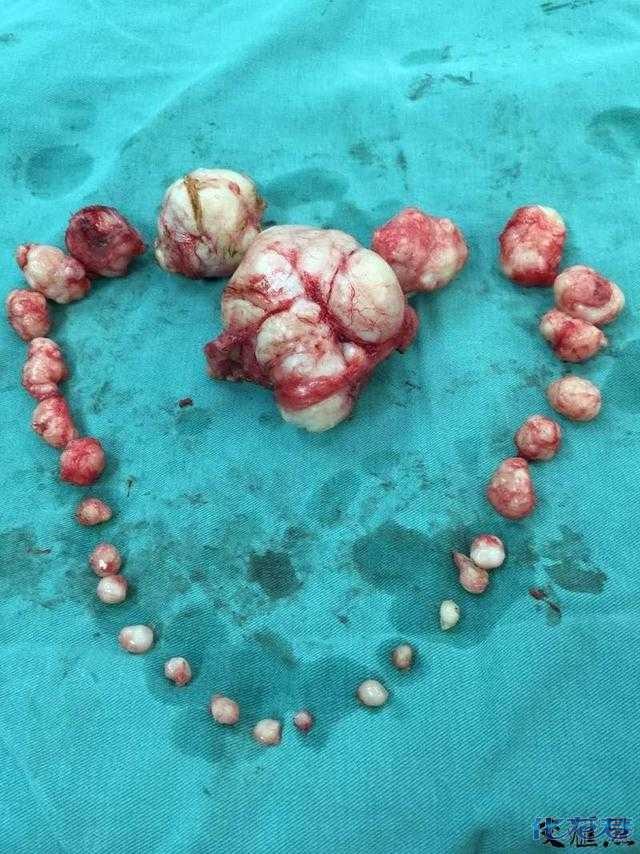 640_854竖版 竖屏