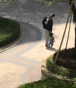 295_341gif 动态图 动图