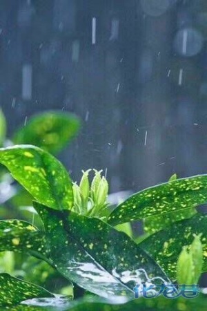 连续三天下雨了,再过36小时会出太阳吗?