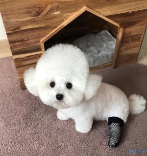 性感的丝袜大腿