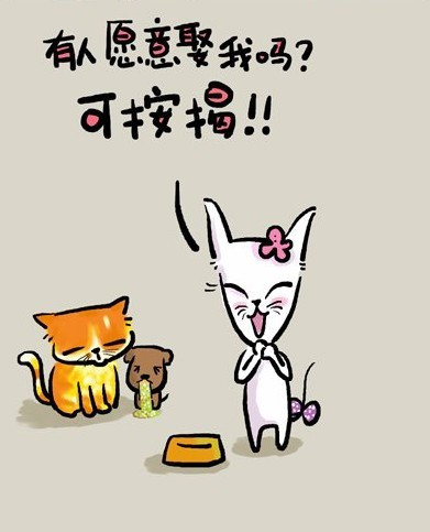 漫画:小猫咪的哲理人生 >>