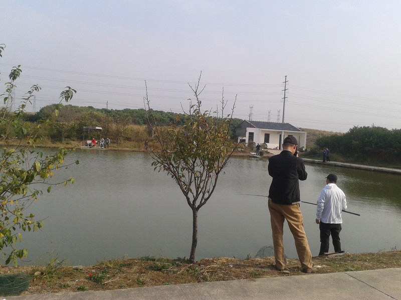 钓鱼比赛 小刘桥垂钓园