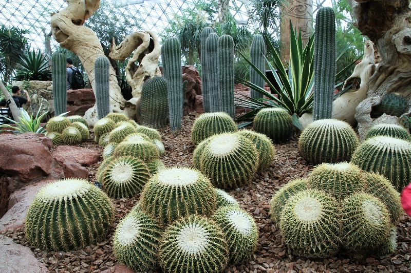 常州科普植物园的奇迹-1500个市民参股