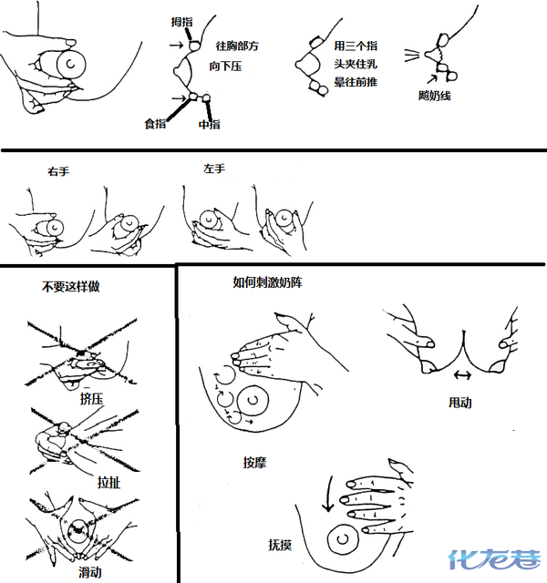 为自己的孕育过程搭个楼记录一下