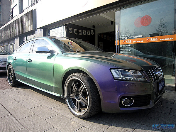 最给力的,车衣裳珠光变色龙重装上阵!