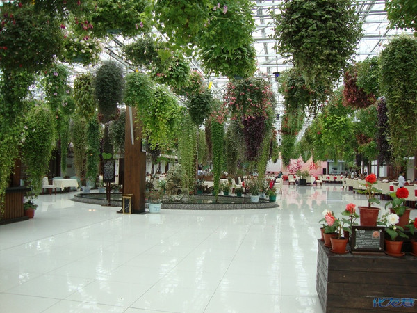 常州花鸟园   一个美食和旅游休闲的好地方 - 手机化龙巷