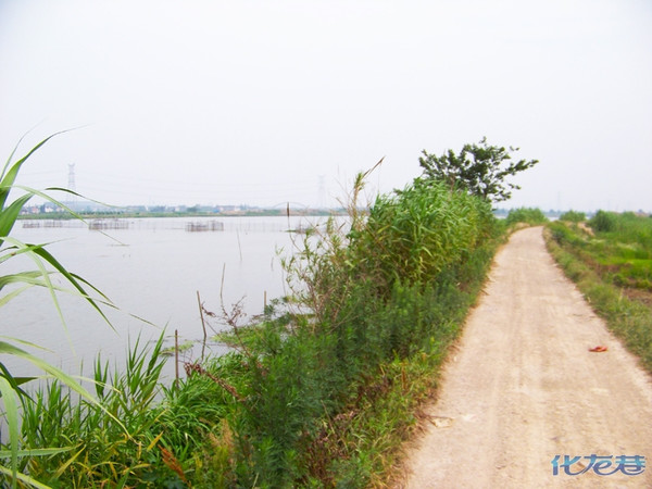 高清大图探秘常州的母亲湖——阳湖