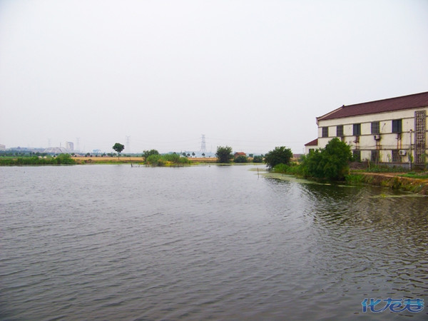 高清大图探秘常州的母亲湖——阳湖