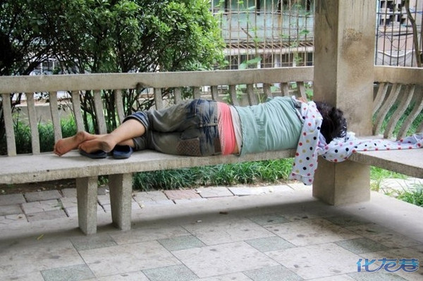 郑州街头讲英语流浪女系新加坡海归,曾在北京媒体工作