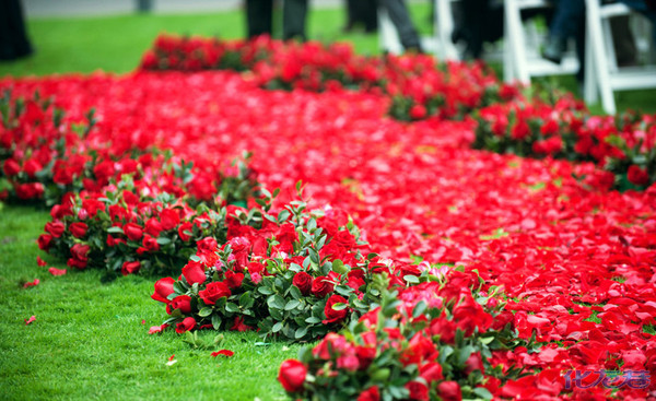 低调奢华有内涵,这是一场温馨浪漫的草坪婚礼!我是来晒幸福的