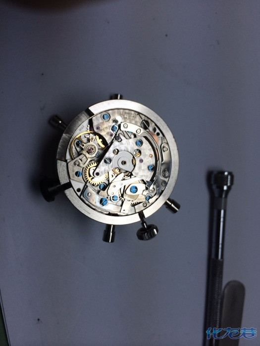 看我自己如何保养的7750,eta计时机芯拆解,香油们速速围观!