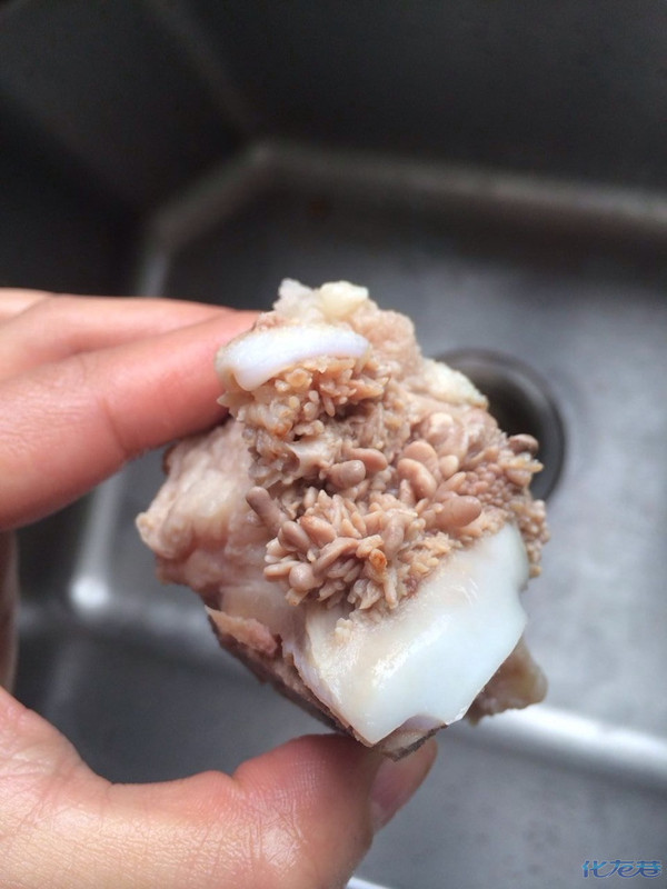 这样的猪骨头谁敢吃啊?骨头上长了很多瘤一样的东西,看差点没吓死