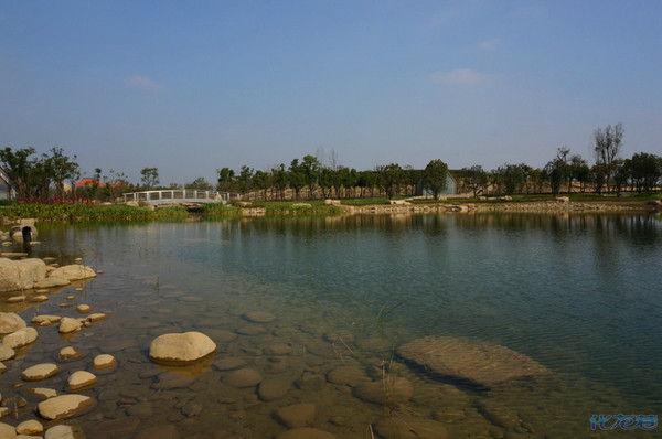 常州滆湖湿地公园图片图片