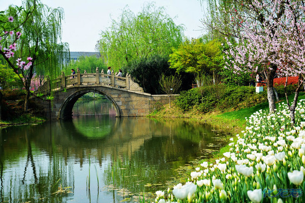 圩墩遺址公園,常州人自己的美麗家園.