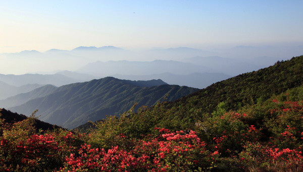 2015年5月15日-17日-安徽休宁五龙山穿越-漫步杜鹃花海