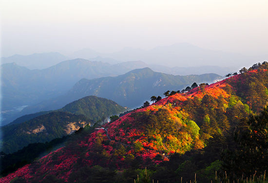 2015年5月15日-17日-安徽休宁五龙山穿越-漫步杜鹃花海