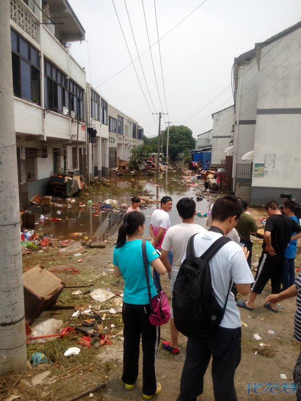 来采访戚墅堰了,大家看看这个村的样子,一片狼藉,天灾人祸,太惨了
