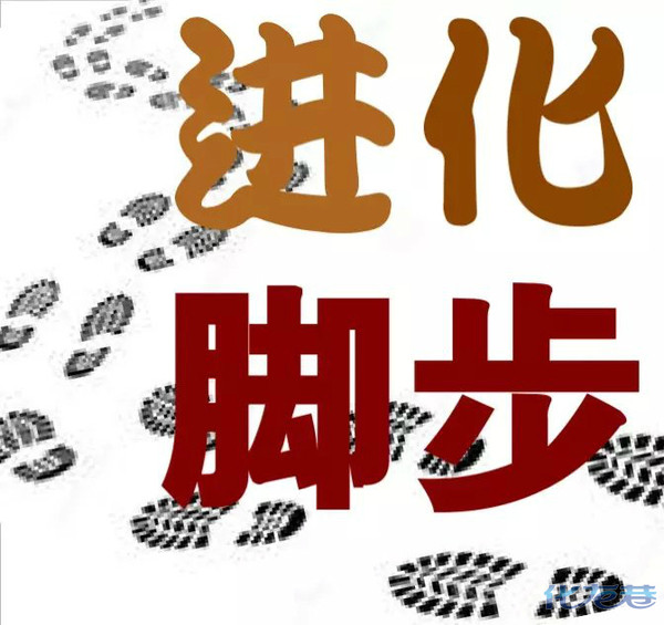 勇敢返校上课的严重强迫症高三女生