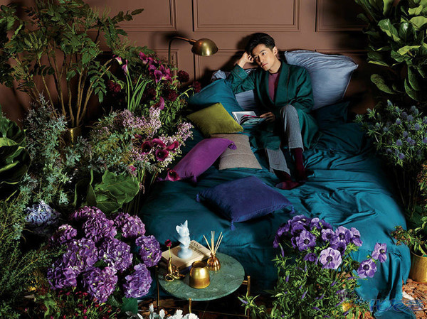 胡歌拍贵族范写真大片,穿浴袍慵懒倚在床上看书,这床还挺有范儿呀