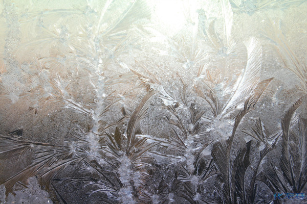 昨天,家中玻璃上呈献出彩色的羽毛状的冰花,维妙维肖,献上美图,与大家