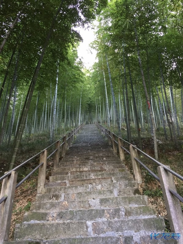 宜兴太华山九峰禅寺,行高速走省道,二个小时左右到达太华镇大涧线九峰