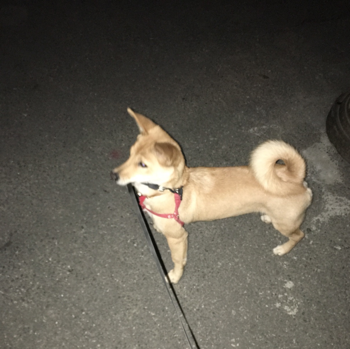 关注ta发私信 九品芝麻官 帖子:484帖 金币:260 枚 威望:509 点