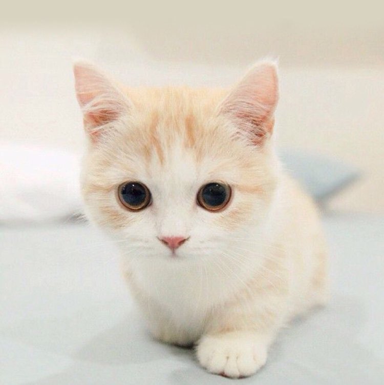 卜弋桥市管会姓何等工作人员官官相护滥用职权,影响社会治安!